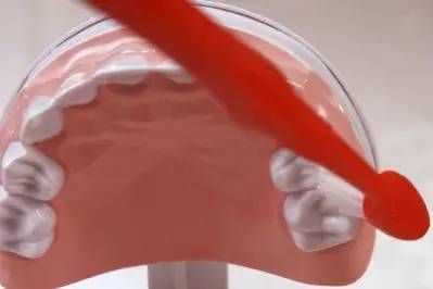 刷牙|5岁男孩突发急性肾炎，病根竟然是在口腔里