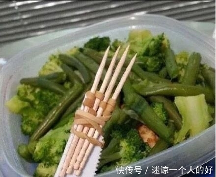 没鱼缸就算了,放这养你考虑过鱼的感受吗