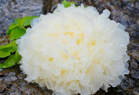 女性40歲以后，少用化妝品，多吃4種堿性食物，皮膚又白又嫩