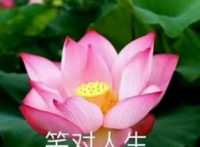 误解 男生对口红都有哪些误解?口红色号就是价格?999是皮炎平?