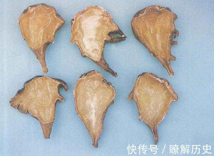 扶阳第一药|这味中药被誉为“扶阳第一药”,虽然毒性大,但作用却很神奇