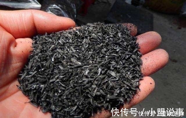 盆栽植物的最佳肥料,花盆里撒点它,植物根粗叶绿还不生病!