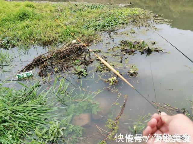 轻口鱼难钓？按我的方法做一钓一个准，再小的口也能逮住