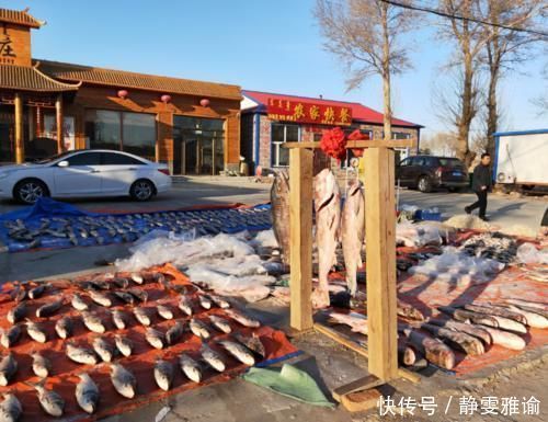 一条鱼可以卖出近“三百万”天价,查干湖的鱼到底有什么特色?