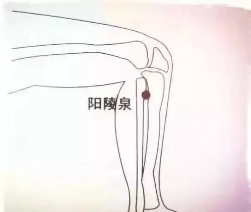 祛湿|湿气重想要祛湿,可怎么就这么难?跟默默学会了,其实非常简单!