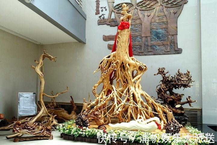 阮葵生!中国人荒唐的人参迷信与胡萝卜成分相近,为何还信了几千年