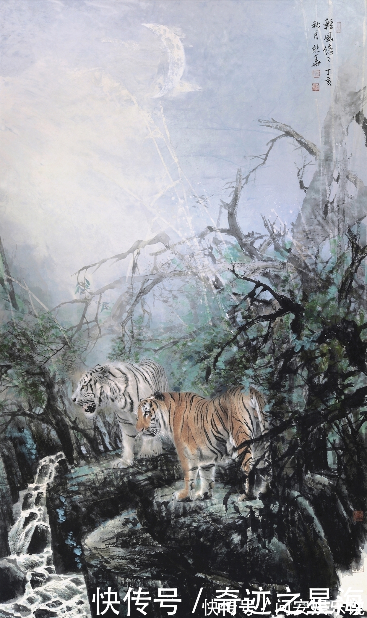 中国画&葛新华画虎,善面不失王者风范,柔和不失王者之威