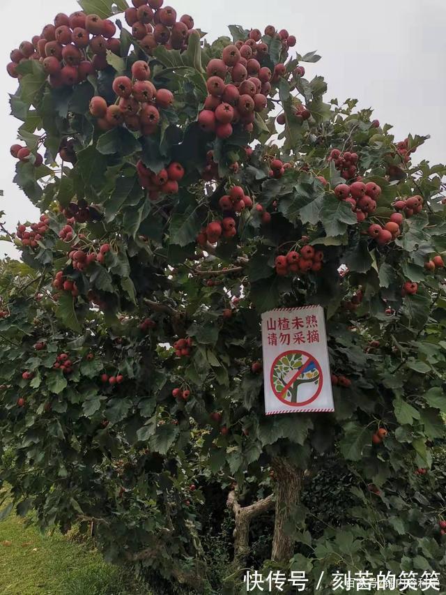 让生活每一天都有意义-记2021年十一假期