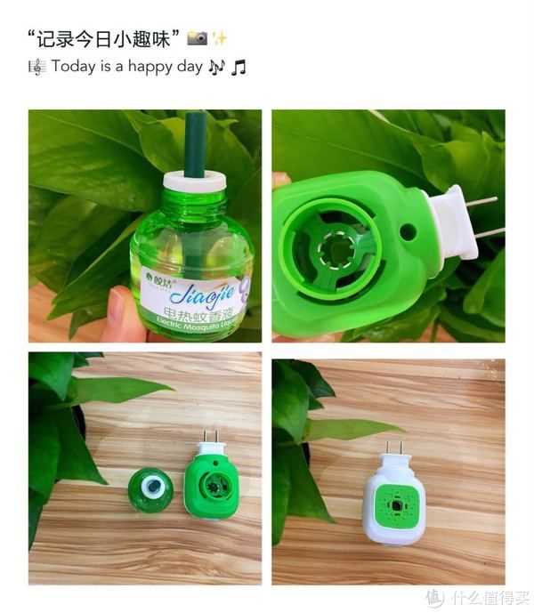 蚊子|家中常备的几款驱蚊产品