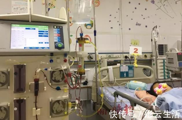 明目|宝宝多吃鱼更聪明?鱼的这3个部位又脏又含汞,一口都不能给娃吃