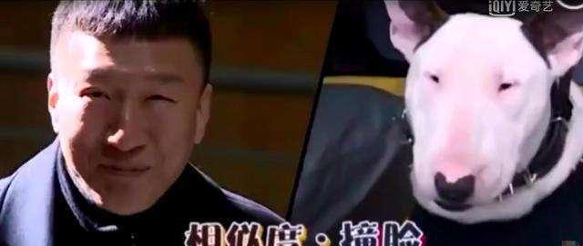 掃黑風(fēng)暴|《掃黑風(fēng)暴》中孫紅雷被吐槽演技差,表情敷衍,觀眾勸他少上綜藝