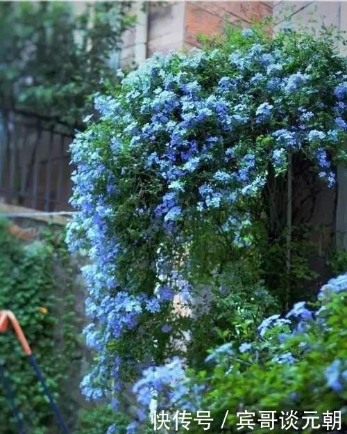 7个绝美花园,个个美炸了天,等有钱了我也要建一个