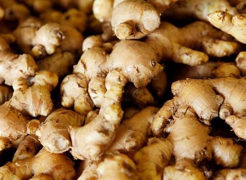 立春前后挑些发芽的生姜，按“这要求”养，观赏、食用两全了