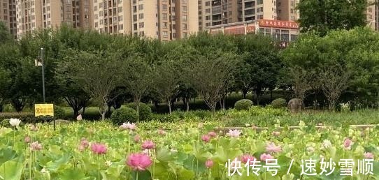 自驾|重庆奉节县十大景点有哪些？自驾游玩怎么安排行程路线？