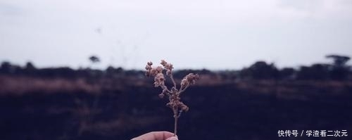 蒋勤勤一句话尴尬全场，刘涛轻松化解：所谓的高情商，不止是说话