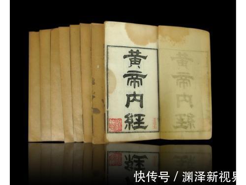 猪苓|中医入门8种祛湿利水中药,除湿气,消水肿的好手,一次讲清楚