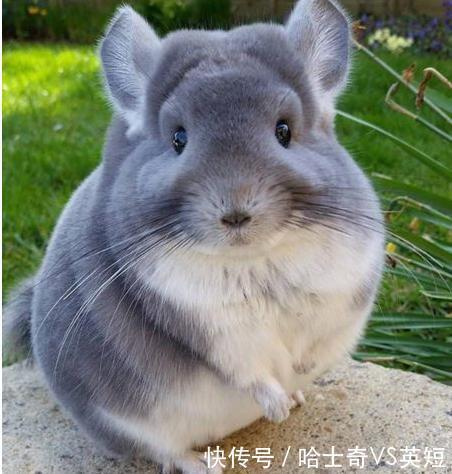 哈希娱乐- 哈希游戏平台- 哈希游戏官方网站最新更新_智能设备_运动_汽车_智慧出行频道_天极网