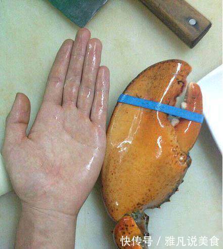 |搞笑图片幽默段子笑话这个蟹钳肉应该很多啊,感觉口感会不错呢