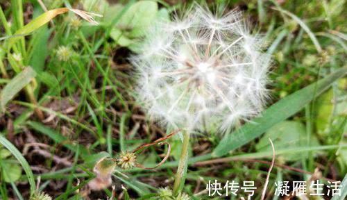 血液|这些食物,专克高血脂,每天吃一点,净化血液,血栓不来扰