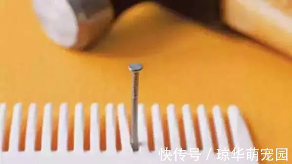 数据线|有了这36个生活窍门，生活都机智起来了！