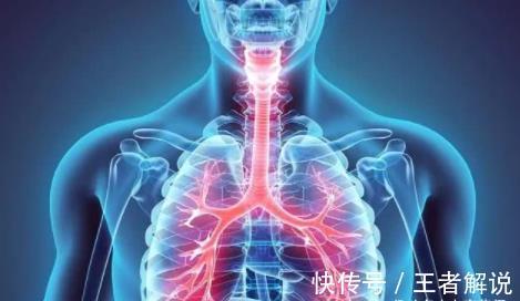 脾胃虚寒|立秋过后,养生有诀窍!吃2物做4事,排出全身毒,整个秋天少得病