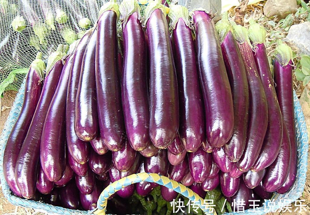 美容养颜|爱吃茄子的人,身体不会差,但切忌与一物同食,现在知道还不晚