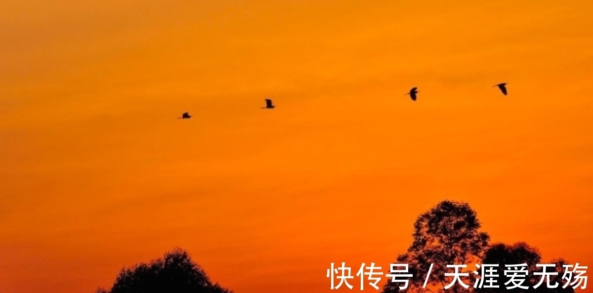 伤心#李白很伤心的一首词,短短4句,写尽等候之人的忧愁,流传千古