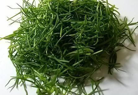 美容养颜|女性过了40岁,推荐常吃3种食物,润肤补血,刮油消脂,美容养颜