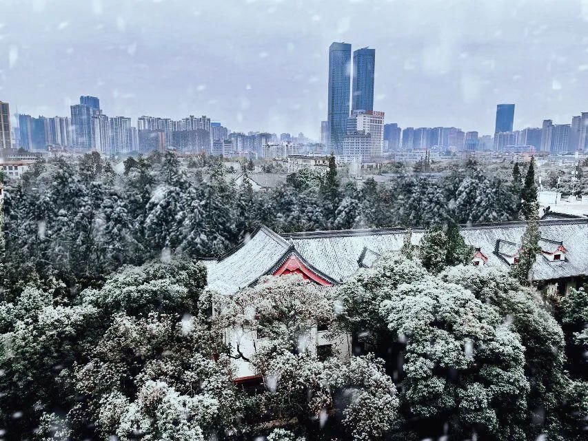 下雪|如果，雪落川大！