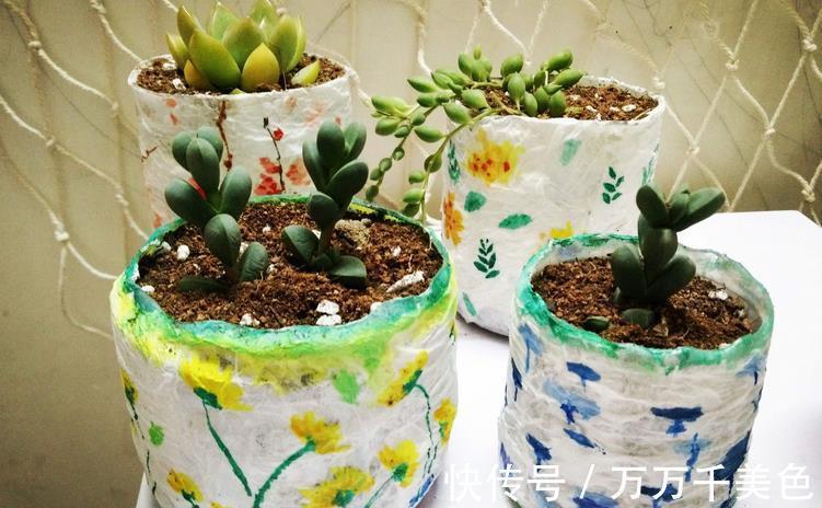 植株|如何兼顾养花和环保?改造下塑料瓶,用着乐趣多又省钱,效果好