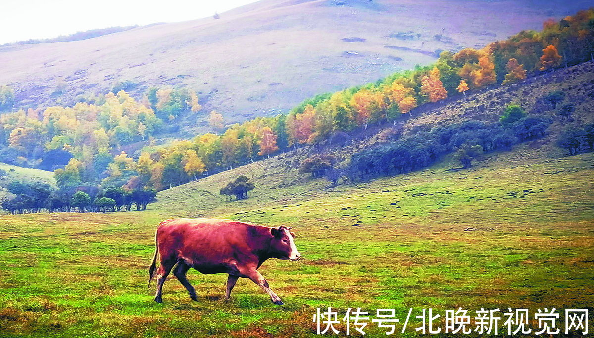 京新高速|北京自驾内蒙古：国庆长假正北方正美