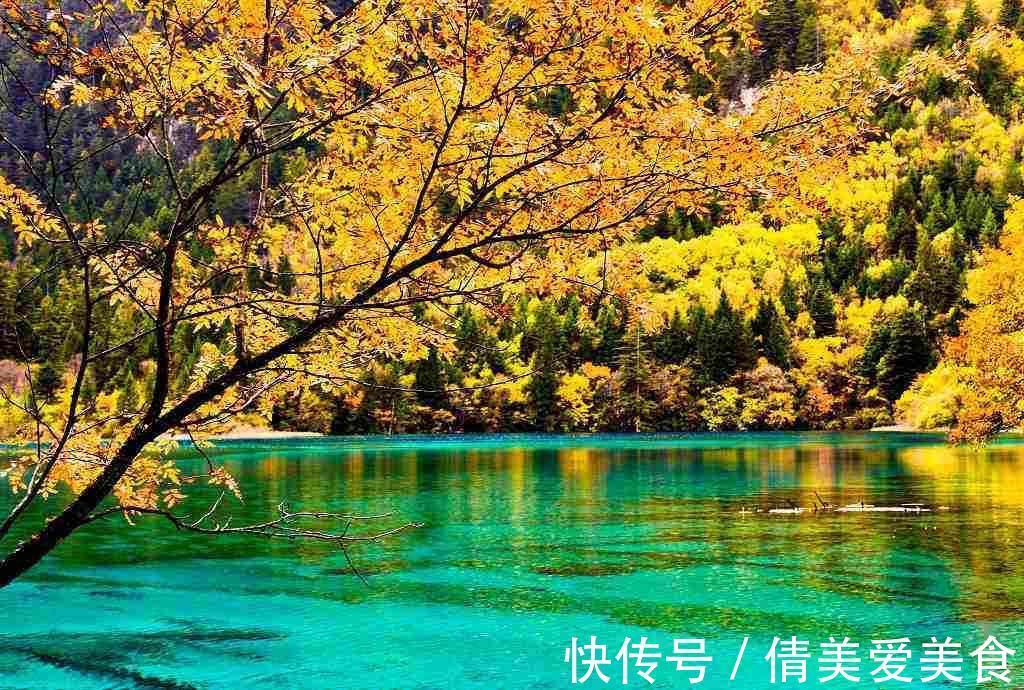 风景区|国内最低调的旅游景点，堪比九寨沟的美丽，去过不后悔！