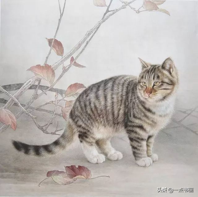 步骤|工笔猫的画法步骤