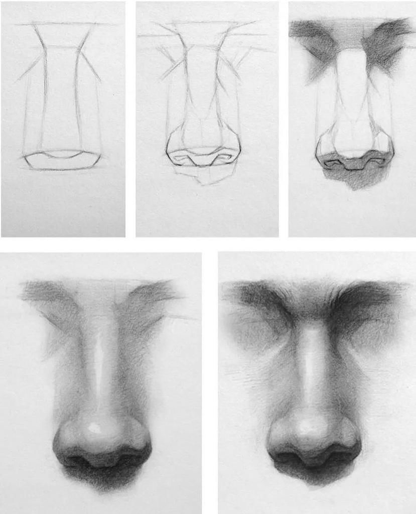 三庭五眼&学画画这么久了,结构还不会,戳这里,一定让你少走很多弯路