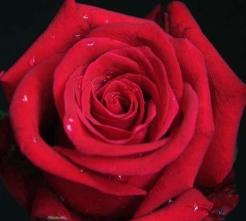 好习惯|“发财”是有原因的,养成以下4个好习惯,不发财都难!