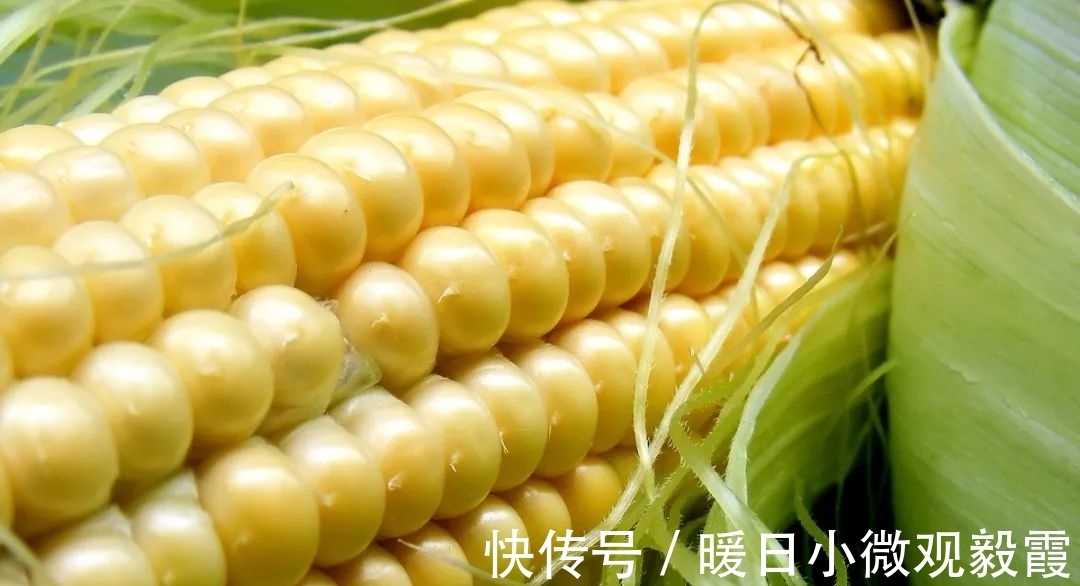 青鱼|老坛玉米钓青鱼草鱼，这样的挂钩方式，不挡口容易中鱼还能钓翘嘴