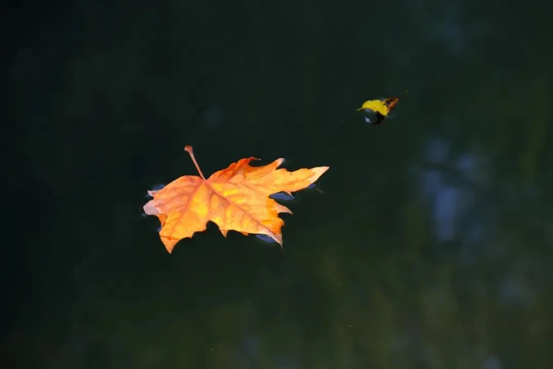 王维！诗词丨十月，愿时光放慢，许故人不散