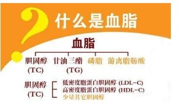 高密度脂蛋白|医生一步一步教您看血脂化验单,并不是有箭头就不正常!