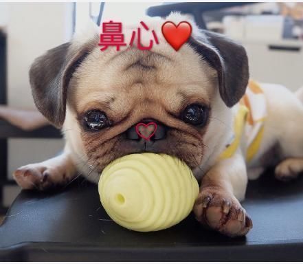 |幽默笑话:读高中那会儿,一天放学时,班花偷偷塞给我一张纸条