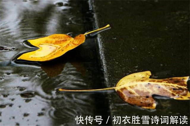 秋来!早秋秋雨美诗五首赏读:江湖经一雨,日月换新秋