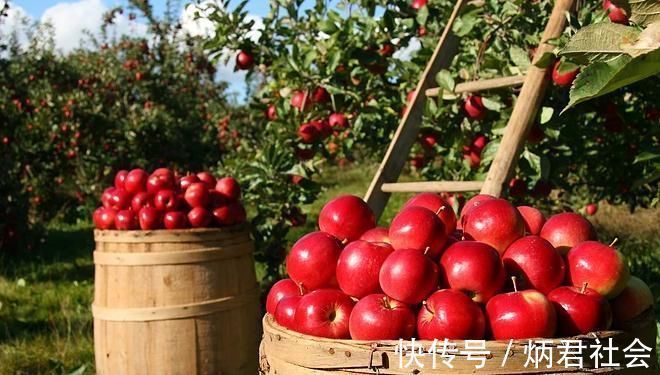 早上空腹吃|常吃苹果有益健康,但你知道什么时候吃才是最好吗?早知早受益