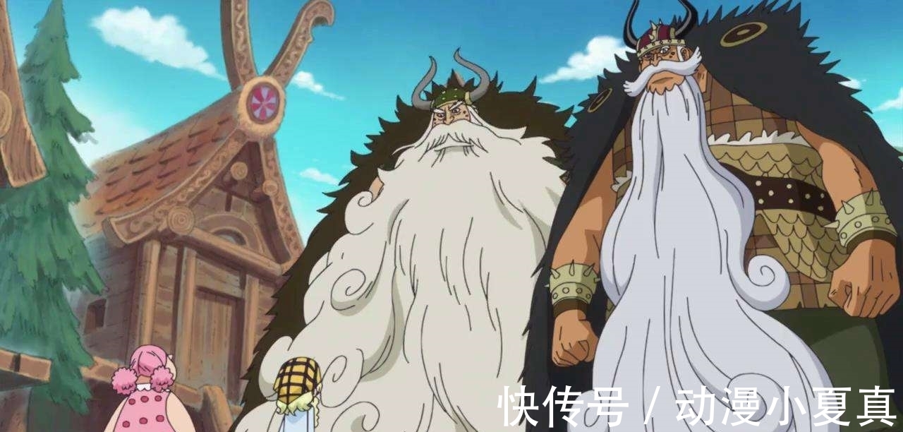 万贝利|《海贼王》:罗宾为什么会往巨大化方面开发能力?