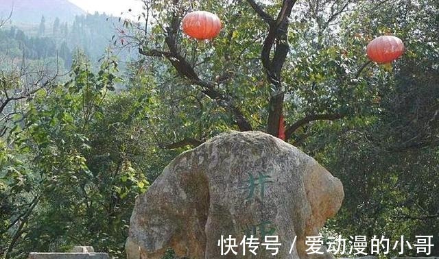 皂角树|被《红高粱》带火的古村，已有564年历史，被誉为中国最美古村！