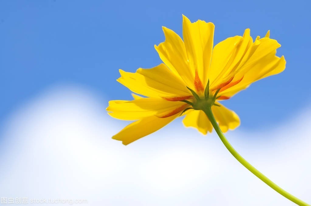 晴风|人到中年,最好的养生是善忘