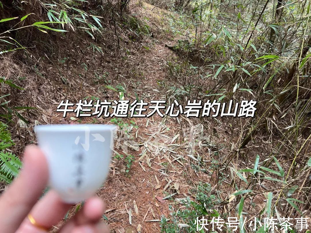 天心岩&除了牛栏坑、慧苑坑、流香涧，天心岩算不算武夷岩茶的三坑两涧？