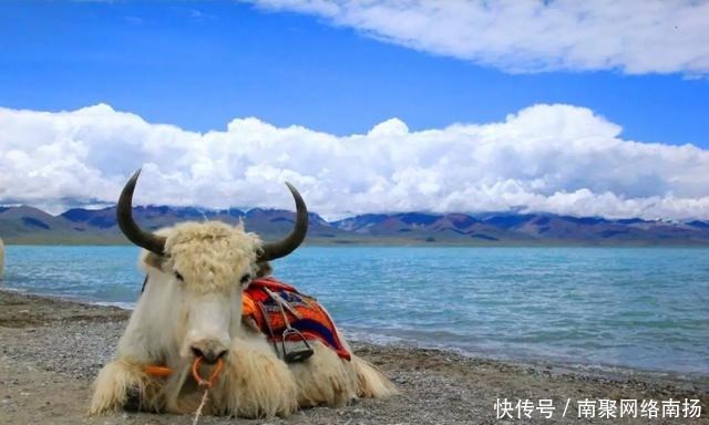 老年|比故宫还壕的宫殿:最好的藏传文玩都在这儿