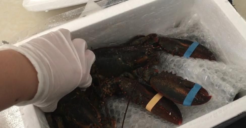 切开|男子上拼多多买“大虾”,5只花了399元,切开后:这肉认真的?