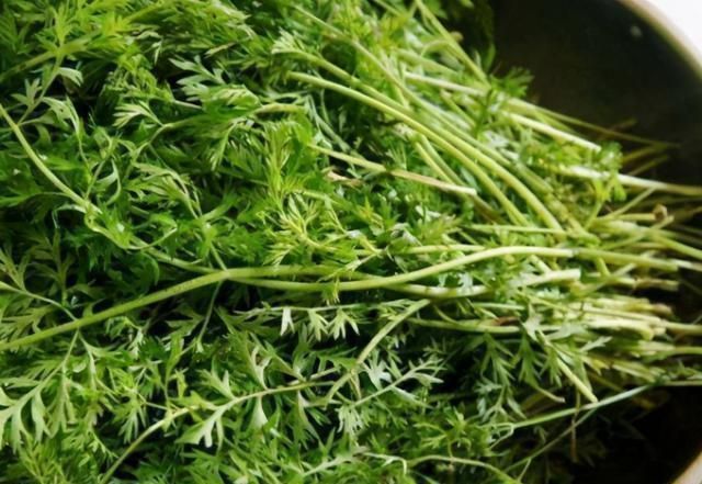 常被忽略的菜叶子,1块钱买一把,蒸着吃最香,不懂吃可惜了