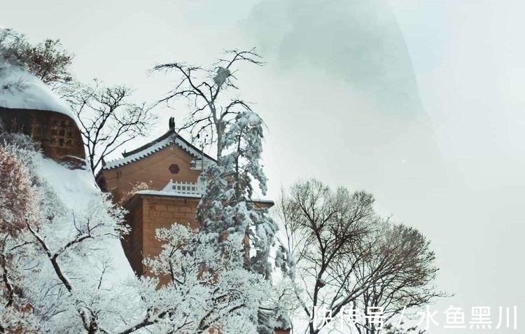 别董大@七律 冬月(外四首)