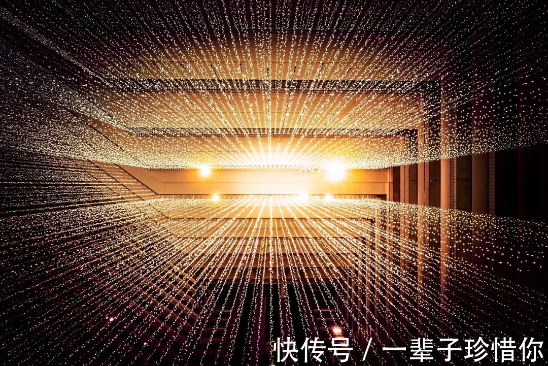 高普尼克#如果只能推荐一本育儿书,我会推荐《园丁与木匠》